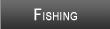 Lake Shelbyville Fishing